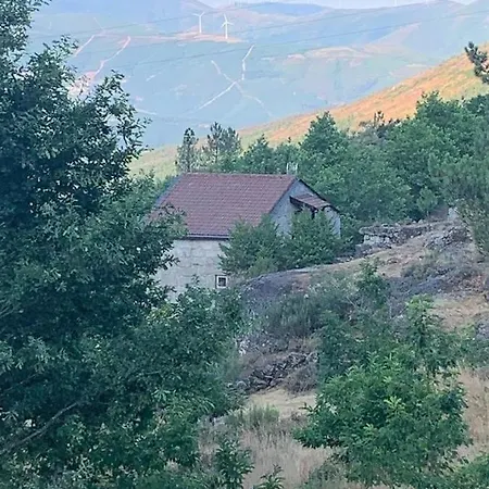 別荘 Quinta De Cabrum