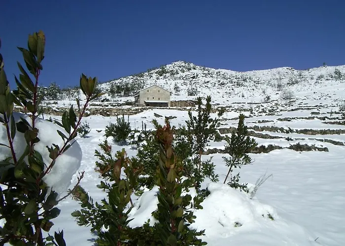 Casa de Férias Quinta De Cabrum
