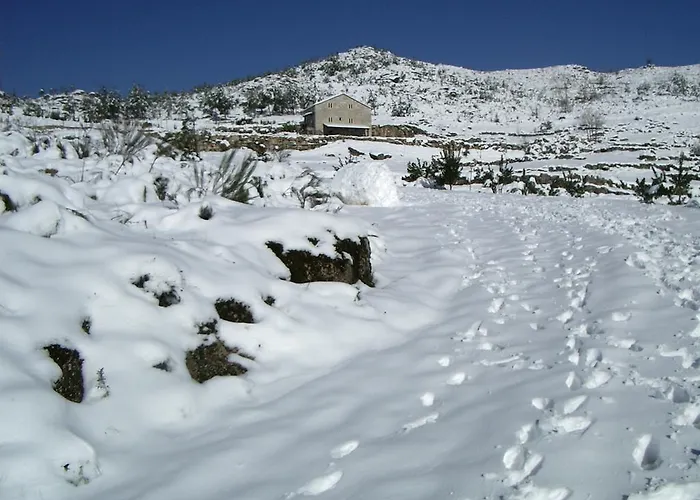 Дом отдыха Quinta De Cabrum Alvoco da Serra